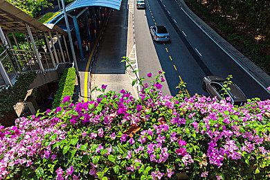 《暗黑破坏神4》新演示视频 死灵法师大杀四方